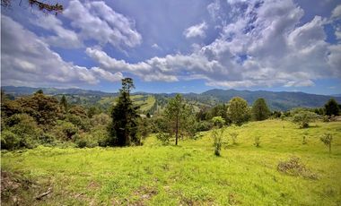Venta Lote Alto Palmas Sin Peaje