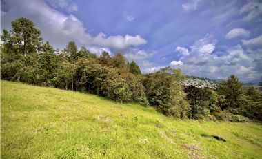 Venta Lote Alto Palmas Sin Peaje