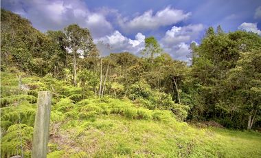 Venta Lote Alto Palmas Sin Peaje