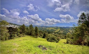 Venta Lote Alto Palmas Sin Peaje