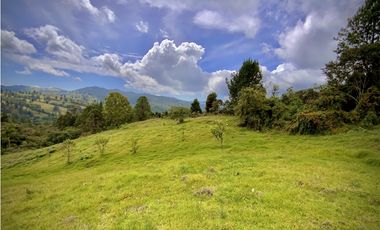 Venta Lote Alto Palmas Sin Peaje
