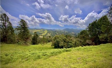 Venta Lote Alto Palmas Sin Peaje