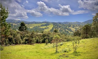 Venta Lote Alto Palmas Sin Peaje