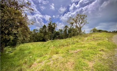 Venta Lote Alto Palmas Sin Peaje