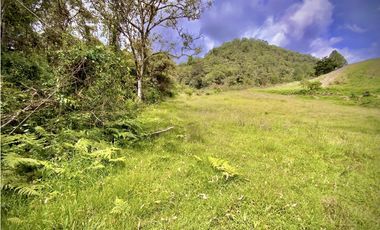 Venta Lote Alto Palmas Sin Peaje