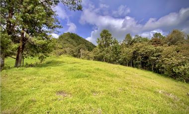 Venta Lote Alto Palmas Sin Peaje