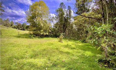 Venta Lote Alto Palmas Sin Peaje