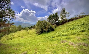 Venta Lote Alto Palmas Sin Peaje