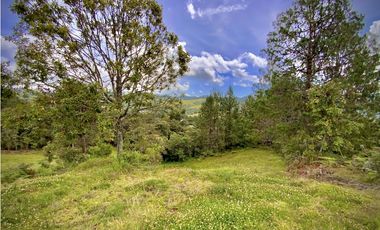 Venta Lote Alto Palmas Sin Peaje