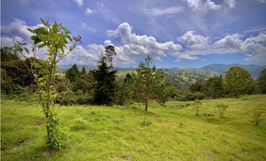 Venta Lote Alto Palmas Sin Peaje