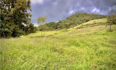 Venta Lote Alto Palmas Sin Peaje