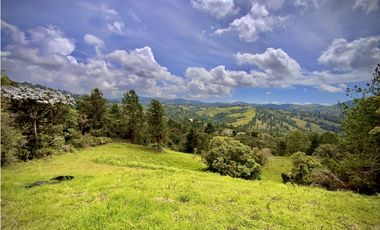 Venta Lote Alto Palmas Sin Peaje