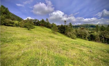 Venta Lote Alto Palmas Sin Peaje