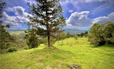 Venta Lote Alto Palmas Sin Peaje