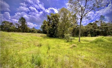 Venta Lote Alto Palmas Sin Peaje