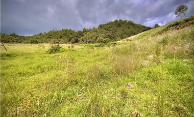 Venta Lote Alto Palmas Sin Peaje