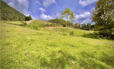 Venta Lote Alto Palmas Sin Peaje