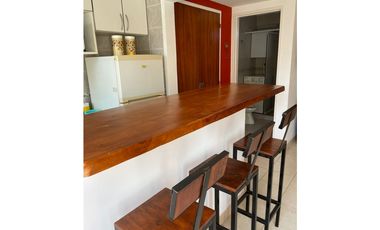 ALQUILER TEMPORARIO/ DEPARTAMENTO 1 AMBIENTE/MAR DEL PLATA