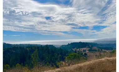 Parcela en venta en NAVIDAD