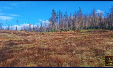 Parcela en venta en SANTA JUANA