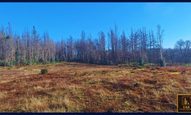 Parcela en venta en SANTA JUANA