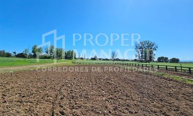 Parcela en Venta en Parcela con Acceso al Rio Perquilauquen en San Gregorio