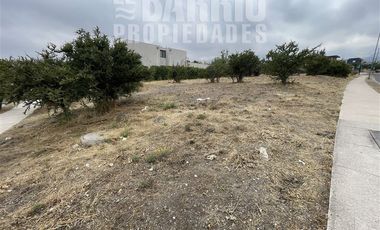 Sitio en Venta en Chicureo / Piedra Roja