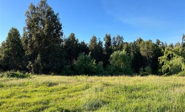 Parcela en Venta en Escudo de Chile camino a Los Robles