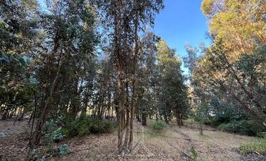 Parcela en Venta en Escudo de Chile camino a Los Robles