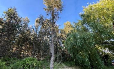 Parcela en Venta en Escudo de Chile camino a Los Robles
