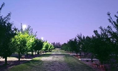 Casa en Napa Wine Estate, barrio de frutales y viñedos