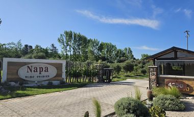 Casa en Napa Wine Estate, barrio de frutales y viñedos