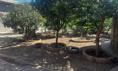 Rancho en Venta en Zapotlanejo, Jal
