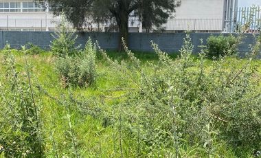 Terreno en renta , San Juan de Ocotan , Zapopan ,Jalisco