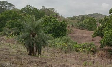 Terreno en venta- Las Cumbres (YM)
