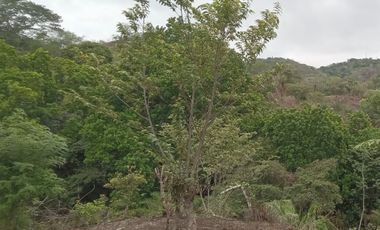 Terreno en venta- Las Cumbres (YM)