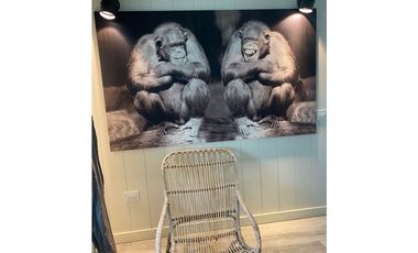 CASA EN ALQUILER  EN COSTA ESMERALDA - MARITIMO III 24