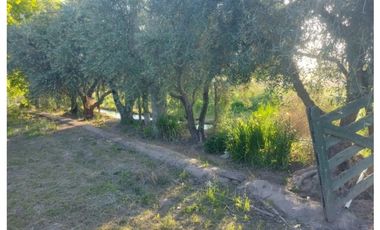 FINCA CON CASA DOS HECTAREAS