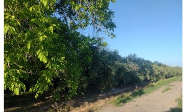 FINCA CON CASA DOS HECTAREAS