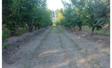 FINCA CON CASA DOS HECTAREAS