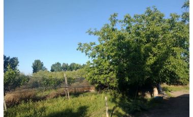 FINCA CON CASA DOS HECTAREAS