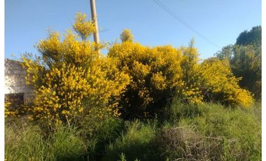 FINCA CON CASA DOS HECTAREAS