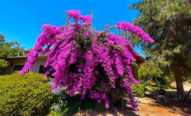 Casa en venta en CURACAVÍ