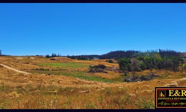 Parcela en venta en SANTA JUANA