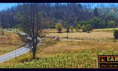 Parcela en venta en SANTA JUANA