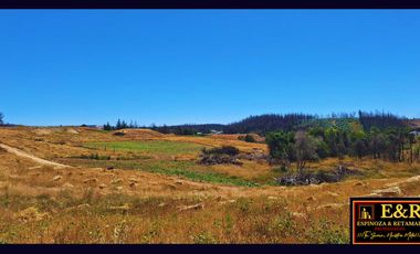 Parcela en venta en SANTA JUANA