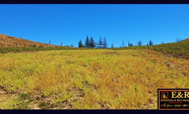 Parcela en venta en SANTA JUANA