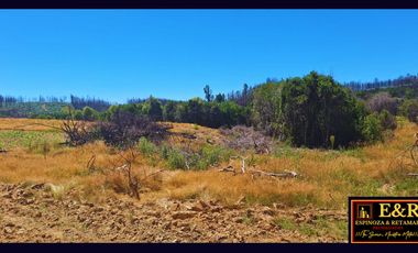 Parcela en venta en SANTA JUANA