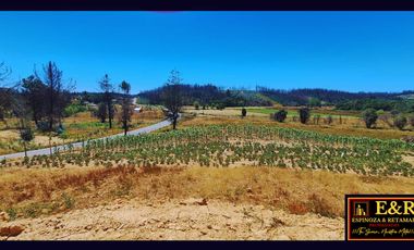 Parcela en venta en SANTA JUANA