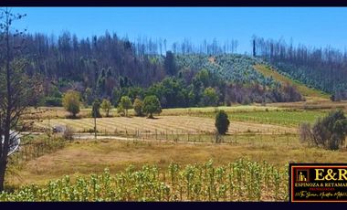 Parcela en venta en SANTA JUANA